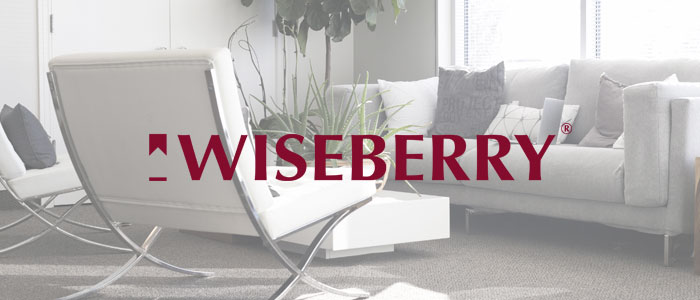 wiseberry-case-study-img